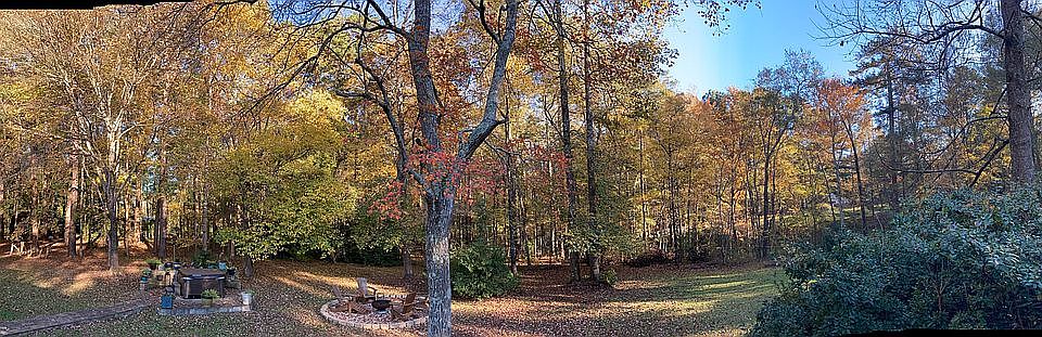 Panoramic of backyard