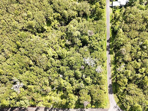 3rd image of Puna Wai Ave