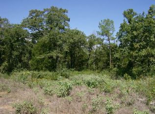 110 Sandy Loam Dr, Paige, TX 78659