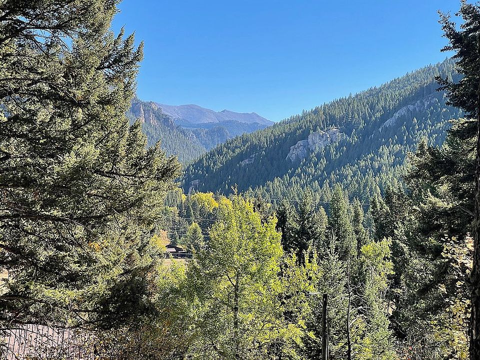 View if Trees are Removed