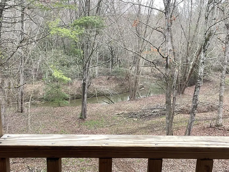 329 Turtlerun Rd — Photo 43