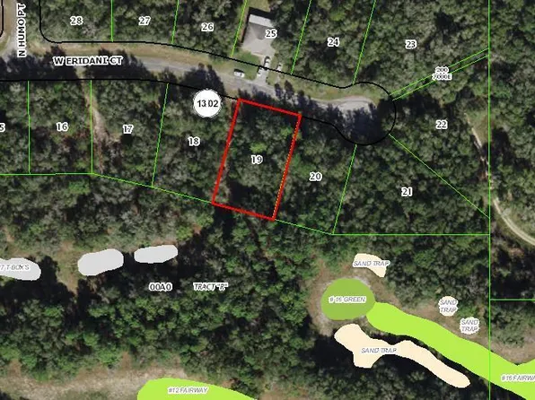 78 W Eridani Court, Citrus Springs, FL 34434