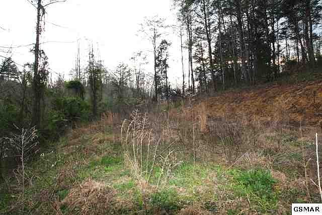 1st image of 1009 Indian Gap Rd #38