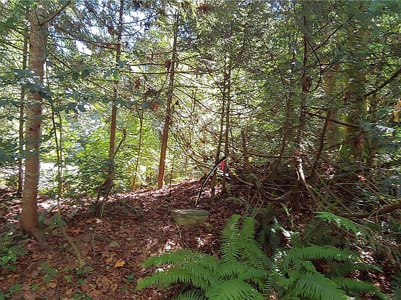 4th image of 481 N Olympic Trails Dr