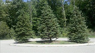 2nd image of 11831 Scenic Valley