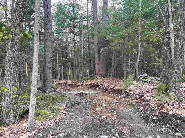 0 Bugbee Road, Springfield, VT 05156