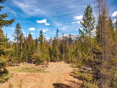 Nna Timber Ridge Trl, Clark Fork, ID, 83811