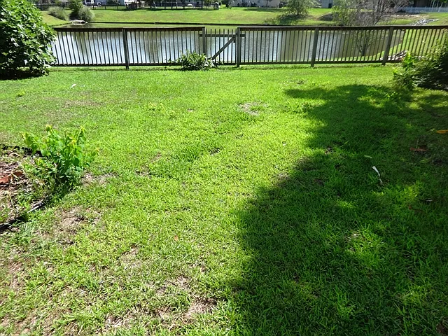 8051 Old Hazelwood Rd — Photo 18