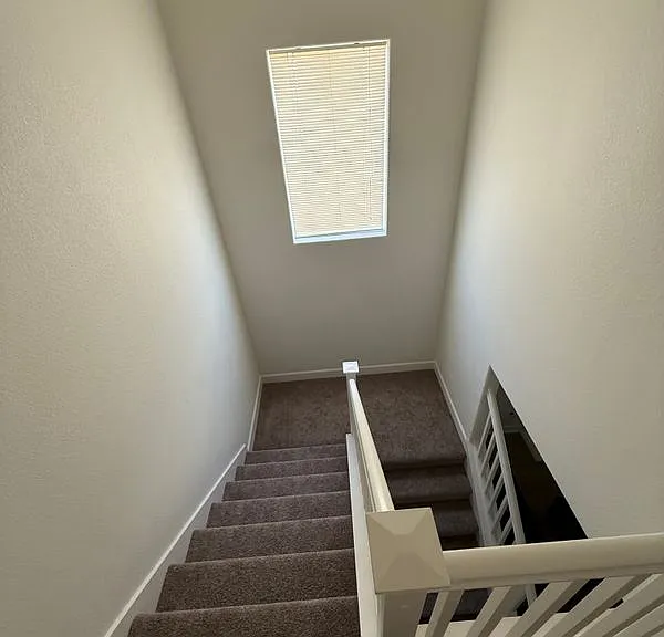 433 Tolman Way — Photo 13