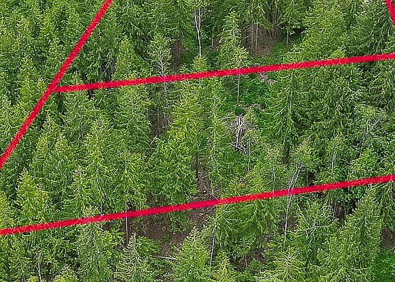 2nd image of 119 Timberlane Rd