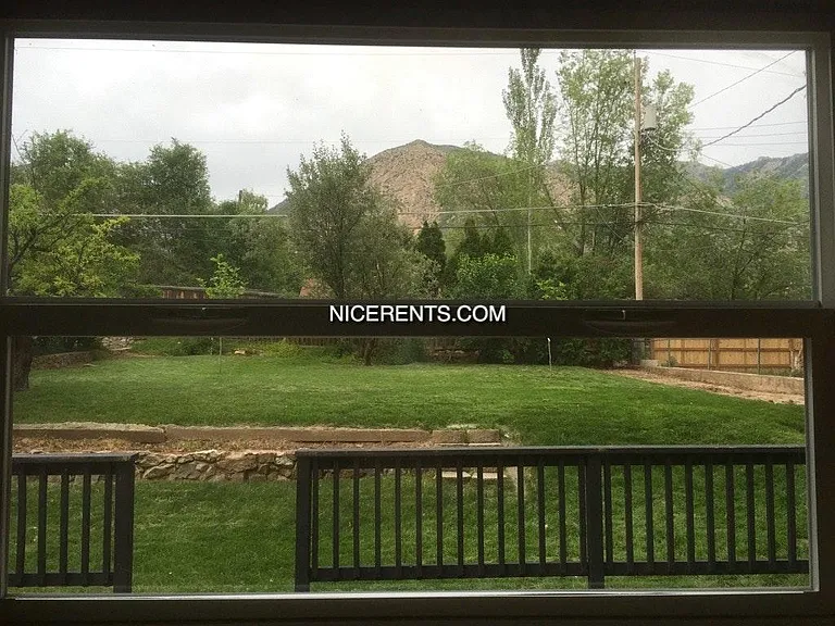 View from kitchen window