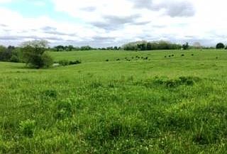 4th image of 42 N Acres Robinhood Ln