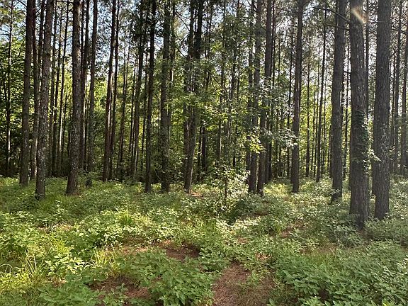 3rd image of 117 Colleton Cir Lot 163