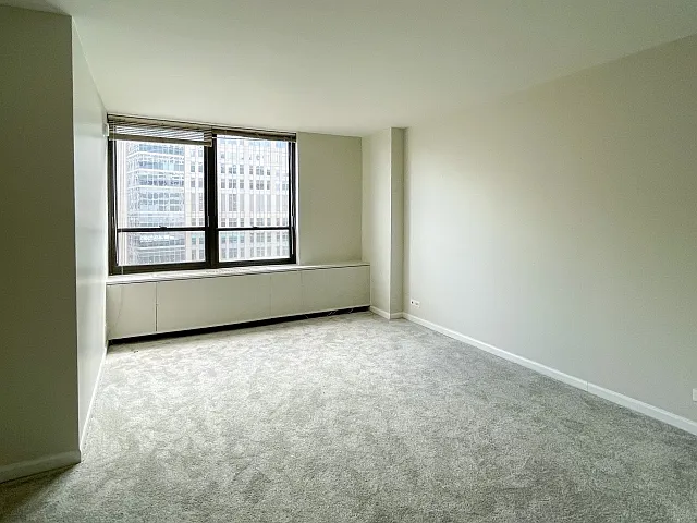 222 E Pearson St #1206 — Photo 7