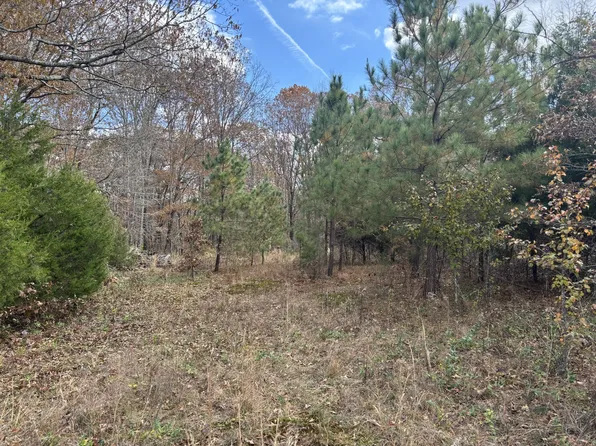 0 Metal Ford Rd, Hohenwald, TN 38462