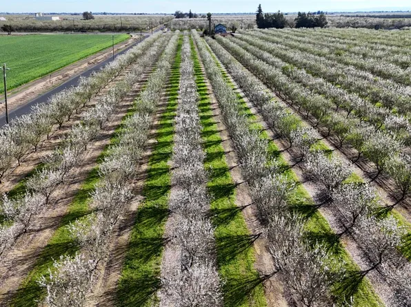 17751 Sexton Rd, Escalon, CA 95320