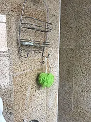 Rented by Sky Management