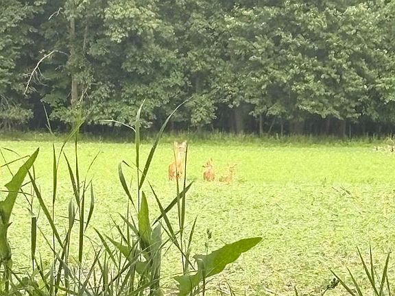 3rd image of 0 Hagerman Rd