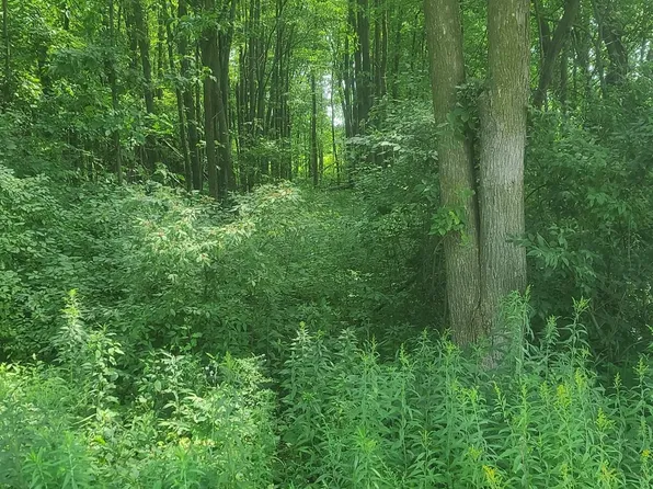 0 Sheridan Rd, Emmett, MI 48022