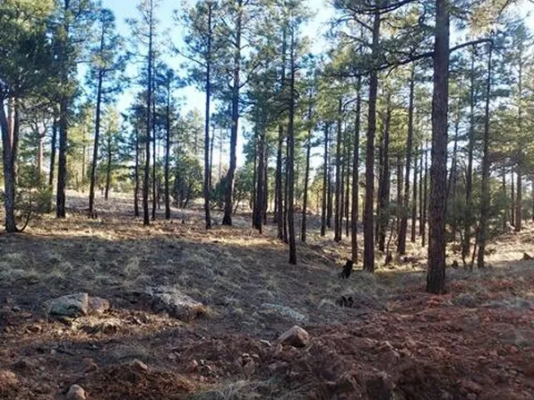 Gilbert Ln, Overgaard, AZ 85933