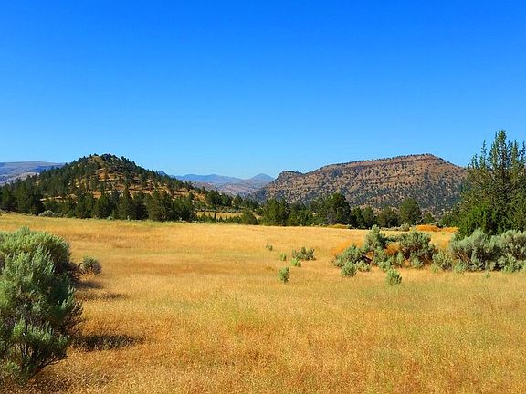 4th image of 42834 Alder Creek Rd