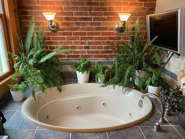 Main Bath spa tub.