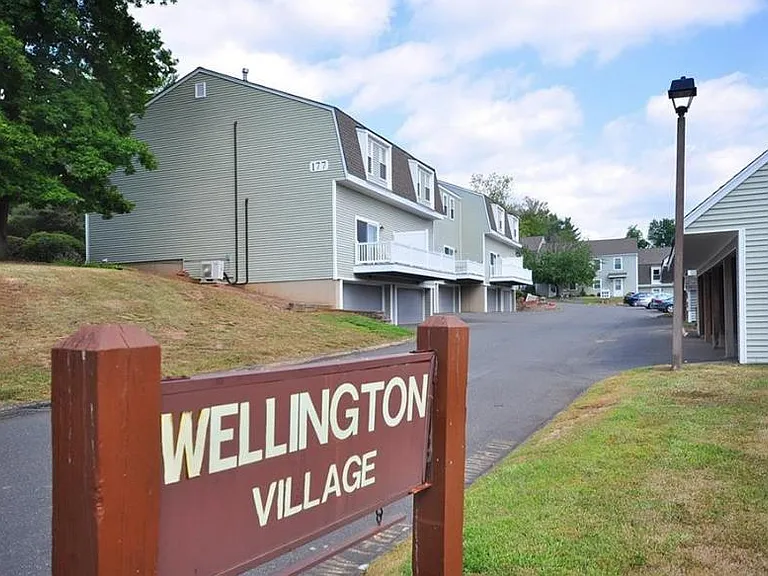 Wellington Village