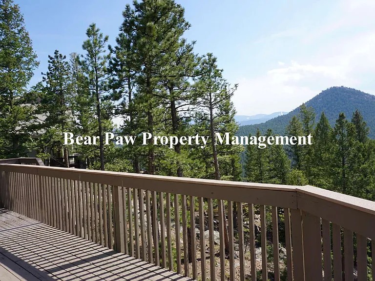 3913 Mountainside Trl — Photo 14