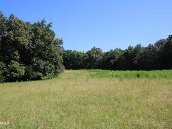 Ebenezer Coxburg Rd, Lexington, MS 39095