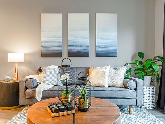 Lavishly Designed Apartments