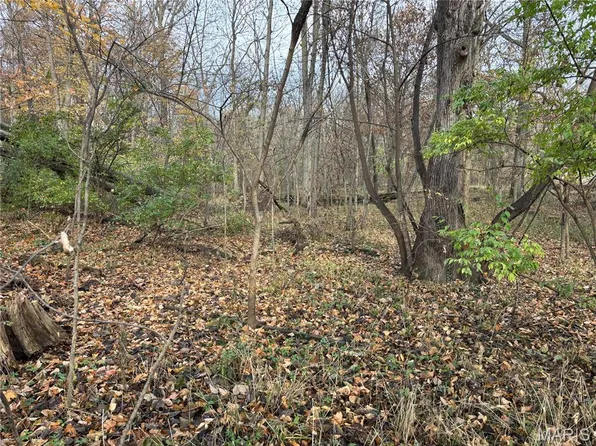 0 Rocky Ford Rd, Trenton, IL 62293
