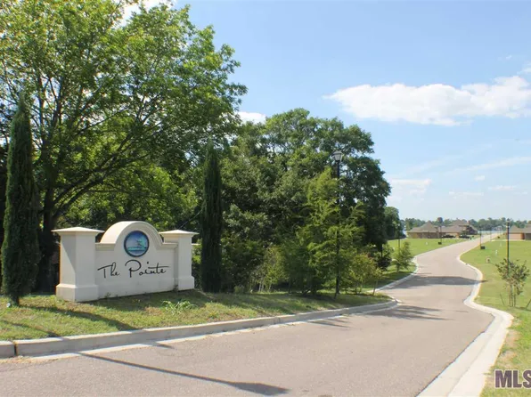 7723 Cutt Pointe Dr, Ventress, LA 70783