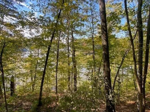 LOT 2 Lakeshore Rd Lot 2, Leasburg, NC 27291