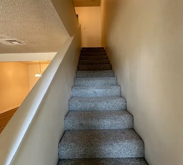 40 Phlox Dr — Photo 13