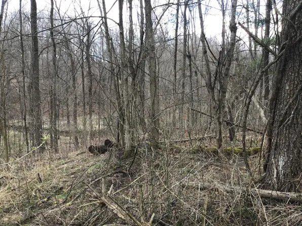 Bivens Rd, Nashville, MI 49073