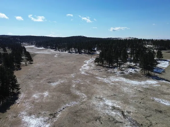 Tbd19 Danby Park Trl, Custer, SD 57730