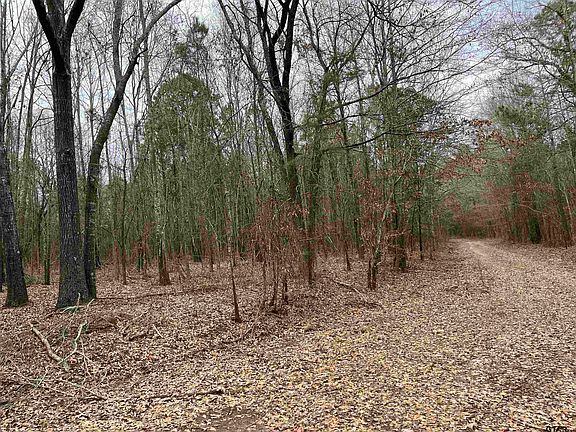 2nd image of TRACT 4 Venus Rd