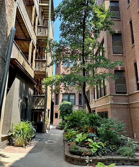 777 W Diversey Pkwy #3NE — Photo 13