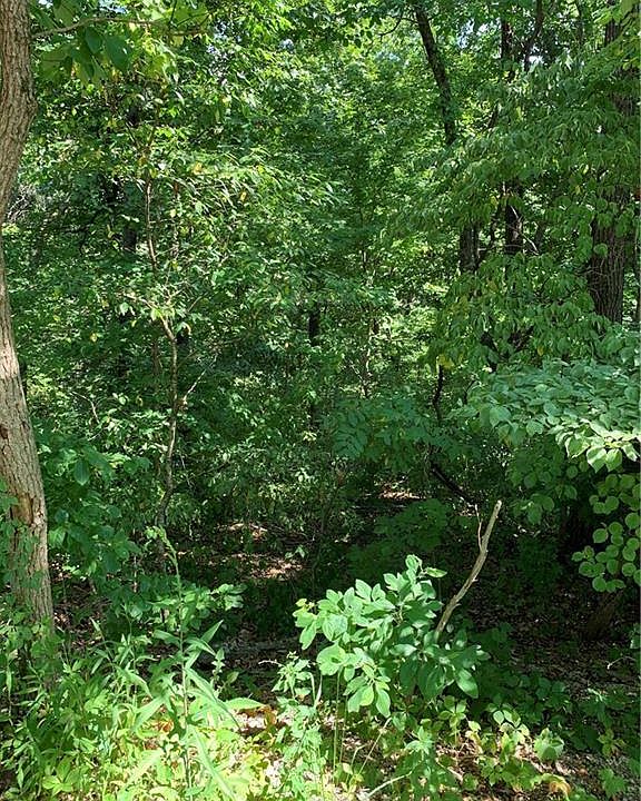 2nd image of Ryde Ln