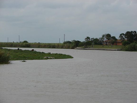 3rd image of 11 Tarpon Bnd