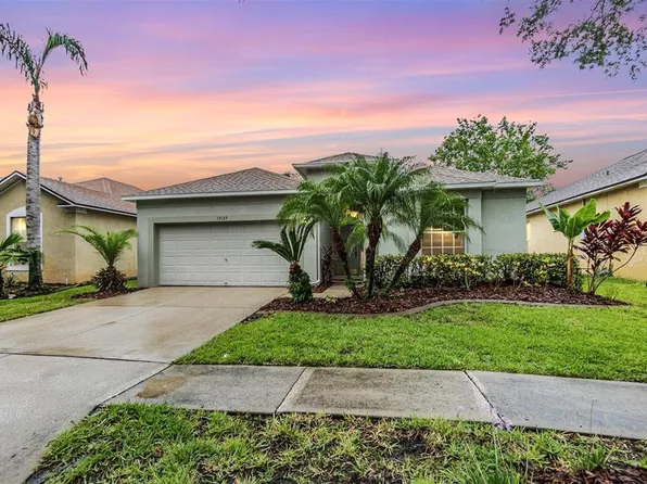 19139 Wood Sage Dr, Tampa, FL 33647
