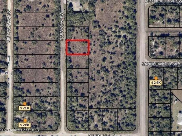 3159 Papaya Ave SW, Palm Bay, FL 32908