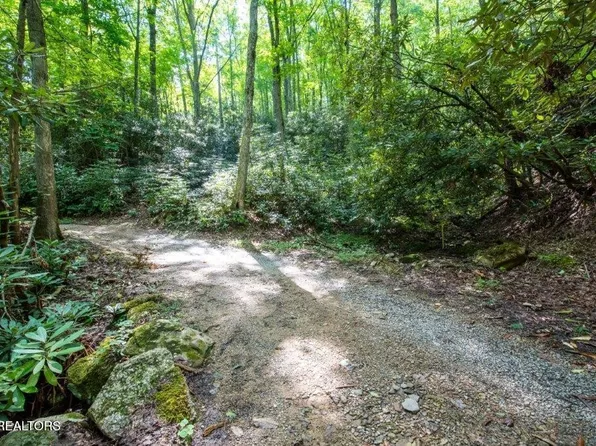10 Carrs Creek Rd, Townsend, TN 37882
