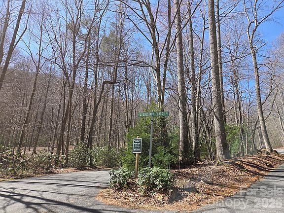 2nd image of 820 Chestnut Flats Rd #4