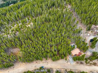 123 Silver Creek Rd, Idaho Springs, CO 80452