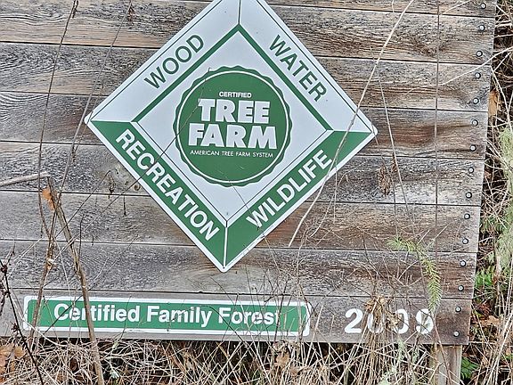 2nd image of 85575 Doane Rd