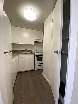 Rented by Voro NYC | media 20