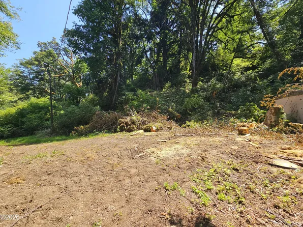 35495 Big Trout Rd, Hebo, OR 97122