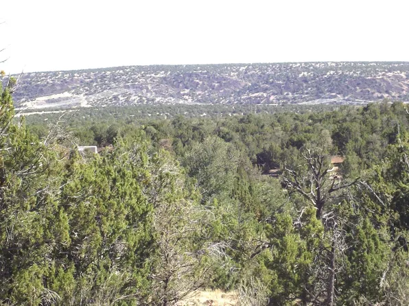 802 E Wampum Ln, Williams, AZ 86046