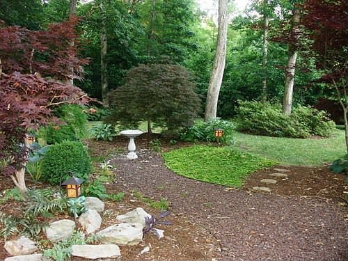 A lot of homes advertise a "park-like setting'-- Our version is hard to beat! 